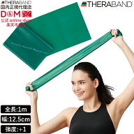 セラバンド トレーニングバンド フォーエントリー 1m 強度レベル1 グリーン 緑 TBE-3 強度別 THERABAND …