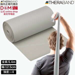 Zoh g[jOoh 5.4m xx+4 Vo[ #TB-6 x THERABAND g[jOp Soh oh g[jO 싅 o[{[ ̊ ؃g GNTTCYoh WX^