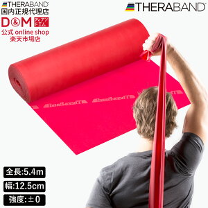 Zoh g[jOoh 5.4m xx0 bh  #TB-2 x THERABAND g[jOp Soh oh g[jO 싅 o[{[ ̊ ؃g Ci[}bX GNTTC