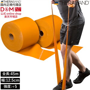 Zoh g[jOoh 45m xx+5 S[h #TB-750 x THERABAND g[jOp Soh oh g[jO 싅 o[{[ ̊ ؃g Ci[}bX  X|