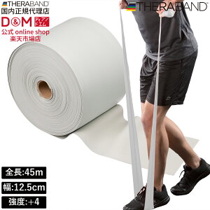 Zoh g[jOoh 45m xx+4 Vo[ #TB-650 x THERABAND g[jOp Soh oh g[jO 싅 o[{[ ̊ ؃g Ci[}bX  X|