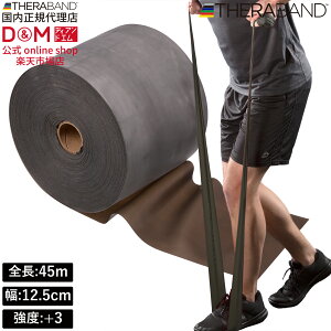 Zoh g[jOoh 45m xx+3 ubN #TB-550 x THERABAND g[jOp Soh oh g[jO 싅 o[{[ ̊ ؃g Ci[}bX  X|