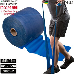 Zoh g[jOoh 45m xx+2 u[ #TB-450 x THERABAND g[jOp Soh oh g[jO 싅 o[{[ ̊ ؃g Ci[}bX  X|[