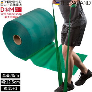 Zoh g[jOoh 45m xx+1 O[ #TB-350 x THERABAND g[jOp Soh oh g[jO 싅 o[{[ ̊ ؃g Ci[}bX  X|