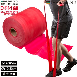 Zoh g[jOoh 45m xx0 bh #TB-250 x THERABAND g[jOp Soh oh g[jO 싅 o[{[ ̊ ؃g Ci[}bX  X|[