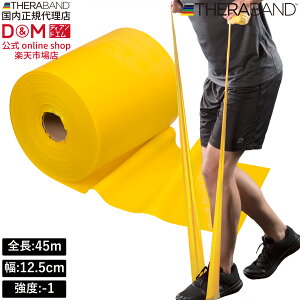 Zoh g[jOoh 45m xx-1 CG[ #TB-150 x THERABAND g[jOp Soh oh g[jO 싅 o[{[ ̊ ؃g Ci[}bX  X|