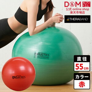 Zoh GNTTCY{[ SDS-55 bh TCY oX{[ 55cm GNTTCY THERABAND g[jO g[jOoh ؃g Ci[}bX X|[c b ] _CG