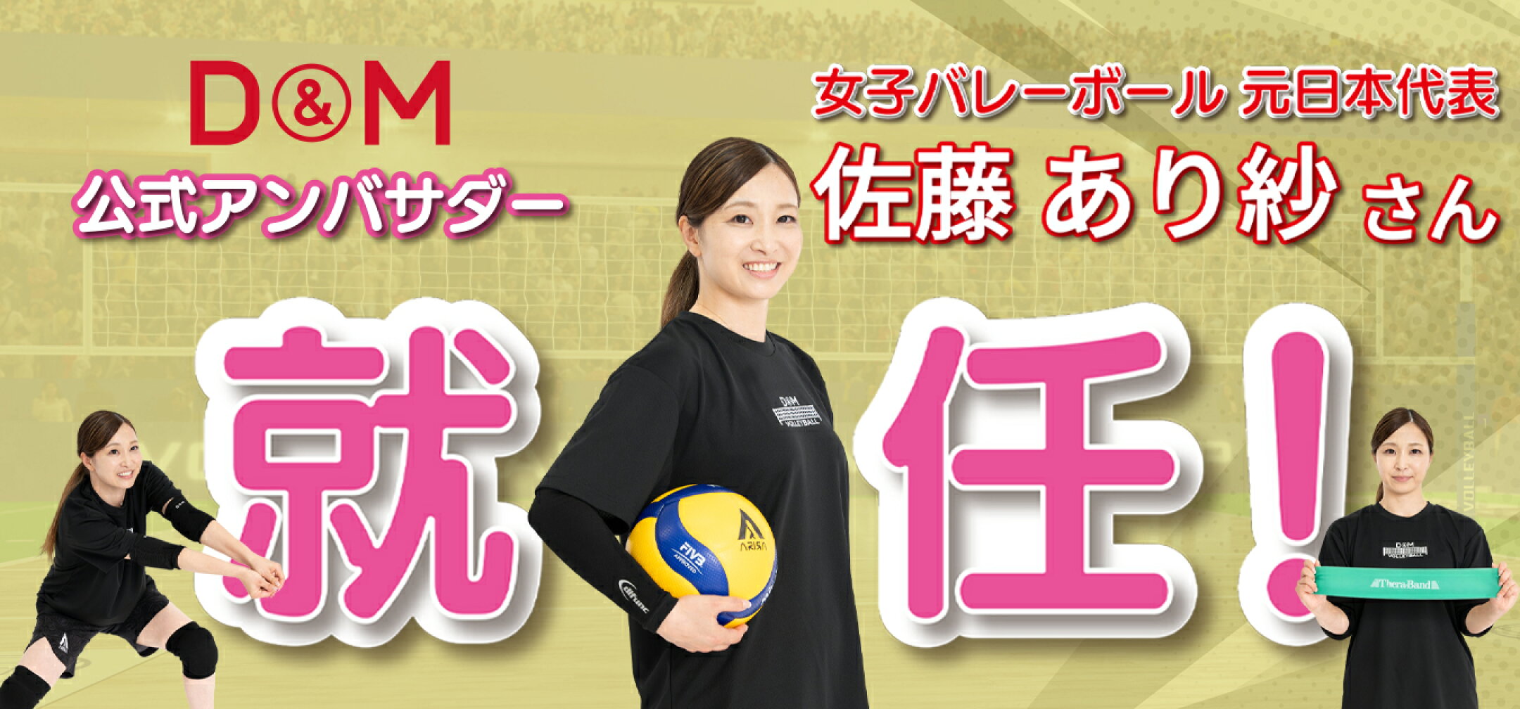 D&M 公式アンバサダー 佐藤あり紗 就任