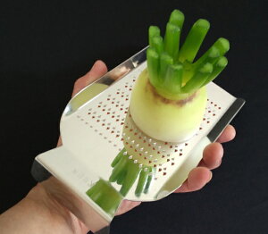 yI}PtzIBV ƒp낵 TCY 낵  낵  ł낵 낵  ƒp낵 ƒp 낵 ̓ ̓ hV̓ a 