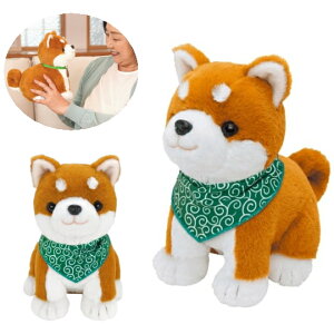 y[zyI}Ptz΂ʃRE^ o_iZbg ׂ ʂ l` ČRE^ ΂ʂ F ׂl` ׂʂ  Vё l炵 