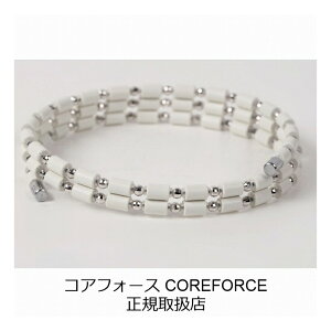 y񂰑+bsOtzRAtH[X[v zCg K14WG 50cm K Í]ʉ RAtH[X COREFORCE uXbg lbNX ANbg RAz[X ANZT[  St 