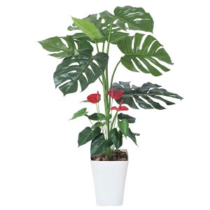 yizyszXeAX[95 203G140(^203C125-42) lHϗt tFCNO[  ϗtA lH G} lHϗtA Mtg zj hV̓ ̓ 