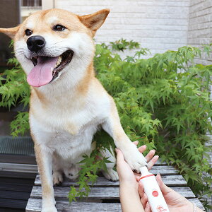 ybgpd܃g}[ ܐ؂ ܃PApi ybgppi ybgObY ^ ^ ^  L   dr R[hX ֗ pi ObY  ʔ lC