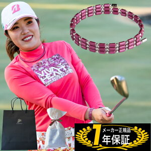 y񂰑+bsOtzRAtH[X[v AFf K14 zCgS[h 50 50cm SUS50 Í]ʉvp RAtH[X St COREFORCE uXbg lbNX RAtH[XuXbg 