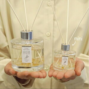 LUCAS 򉻃fBt[U[ mini {2×3Zbg zCgZ[W JX A}ObY   VR p[Xg[ Z[W n[u ObY  ʔ lC