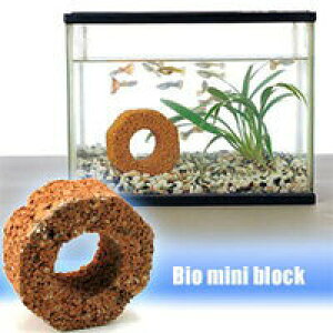 oCI~jubN Ǘ  |  Ǘ  oCI  Mы ANAEpi ObY |ObY ֗ pi ObY  lC ʔ ̔