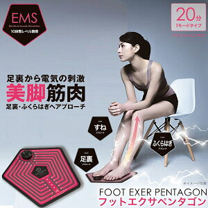 EMS for Foot tbgGNTy^S _CGbg _CGbg g   ӂ͂ dCh ؓ g[jO r EMS}V ؃g fB[X ObY  ʔ lC