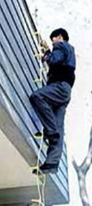 yszp A~͂ 5m MLJMt K11982 ͂ hЊ֘AObY ͂ A~ ͂ p͂ ЊQ΍ ً} ЊQ d hЃObY hЗpi ObY 