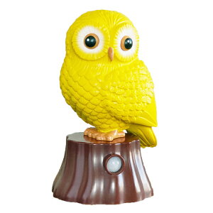 䂪Ƃ̕ {bĝ Yꕨ h~ `FbN Yꕨh~ o Oo   lZT[  ׂ  VjA  l炵 1l炵 ЂƂ炵 