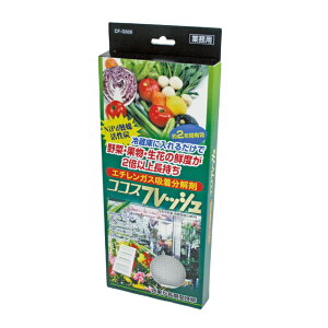 ԁEʂ̑Nxێ RRXtbV Ɩp ؑNxێ   Nxێ H Nx ۑ  ʕ VN L[v Y RRXtbVƖp ObY  ʔ lC