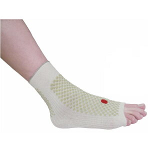 bT|[^[ p 2g T|[^[  ₦΍ ۉObY ΂̒mb  VN T|[^[ b T|[^[ gEKV hq  M  T|