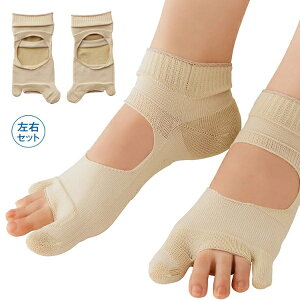 ylR|XzyzNNOT|[^[ 1×2Zbg Op T|[^[ ObY NObY O ΍ OT|[^[ Op O