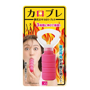 GNT J[uX sN/ubN VFCvAbvObY _CGbg _CGbg ċz  EGXg X[n[ GNTTCY VFCvAbv pi ObY  lC 