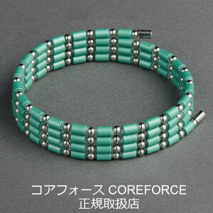 y񂰑+bsOtzRAtH[X[v PEARL MINT p[~g SUS CFL50/CFL70 K Í]ʉ COREFORCE uXbg lbNX  St XCO 򋗗 vSt@[ AX