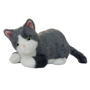 yI}PtzQnd@ 点n`/点~C ʂ ׂ ׂl`  b ql Vё l炵  ҕpi N Nz  V