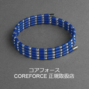 yI[_[izy񂰑+bsOtzRAtH[X[v u[ BLUE K14WG CFL50/CFL70 K Í]ʉ COREFORCE uXbg lbNX  St XCO 򋗗 vS