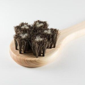 󑐃A[guV nт̃{fBuV  Cu/A_ {fBuV oXpi A[guV n ` ^uV n n VR {fB uV C ObY VR