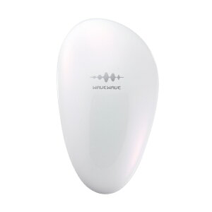 WAVEWAVE EMS Brush Air mini �u���b�V���G�A�[ �~�j �u���V ���� �w�A�P�A �X�^�C�����O �w�A�u���V �� �N�V �N�b�V�����u���V �}�C�N���J�����g �}�C�i�X�C�I�� ����P�A ���� �ԐFLED �U�� �o�C�u