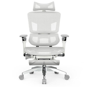 �y�����i�z�y������s�zRasical Chair Elite ���V�J���`�F�A �G���[�g �u���b�N/�z���C�g�O���[ ���@�\�`�F�A �I�t�B�X�`�F�A �� �� �� �p�� �f�X�N�p�`�F�A �I�t�B�X ���[�N�`�F�A �֎q �X�c�[