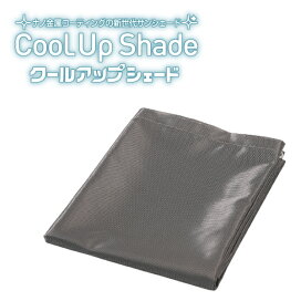 楽天市場】シーブルーカルセドニー 干支梵字と般若心経 彫刻の水晶 