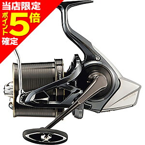 【当店限定P5倍確定】ダイワ(DAIWA) 21 サーフ ベーシア 45 06PE