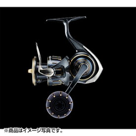 ダイワ(DAIWA) 23 ソルティガ 4000-H