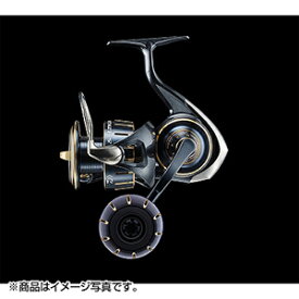 ダイワ(DAIWA) 23 ソルティガ 5000-H