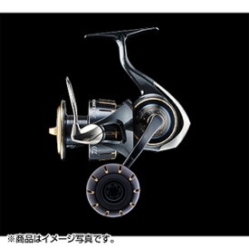 ダイワ(DAIWA) 23 ソルティガ 6000-XH