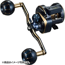 ダイワ(DAIWA) 21 ソルティガ IC 300-DH 右ハンドル