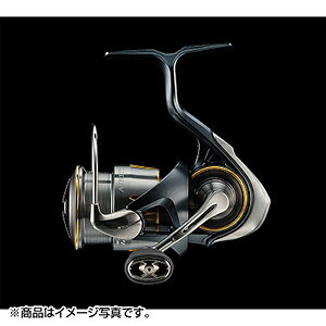 _C(DAIWA) 23 GAeB LT2000S-P
