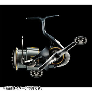 _C(DAIWA) 23 GAeB LT2500S-DH