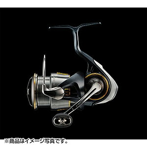 _C(DAIWA) 23 GAeB LT2500S-XH