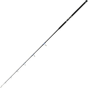 tailwalk(eCEH[N) SPRINT STICK SSD XvgXeBbN SSD 80XH