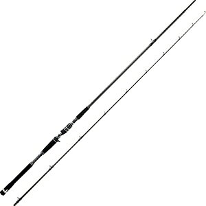 AuKVA(Abu Garcia) Salty Stage Prototype SHORE JIGGING \eB[Xe[W vg^Cv VAWMO XSJC-962MH60
