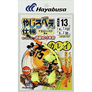 nuT(hayabusa) UJC ₶ׂdl CG[oOt 14 SE-757