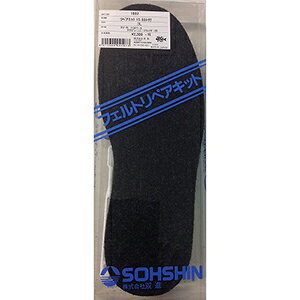 oi(SOSHIN) RBB oC yALbg15 JJgt 3L