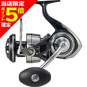 【当店限定P5倍確定】ダイワ(DAIWA) 21 セルテート SW 8000-H