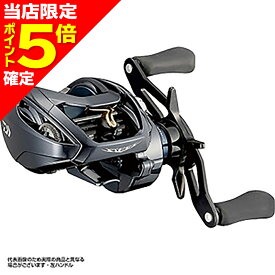 【当店限定P5倍確定】ダイワ(DAIWA) 21 スティーズ A TW HLC 8.1L 左ハンドル