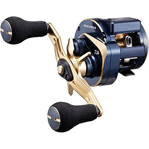 _C(DAIWA) 21 \eBK IC 100P-DH Enh