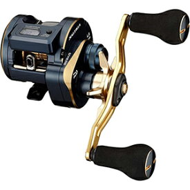 ダイワ(DAIWA) 21 ソルティガ IC 100PL-DH 左ハンドル